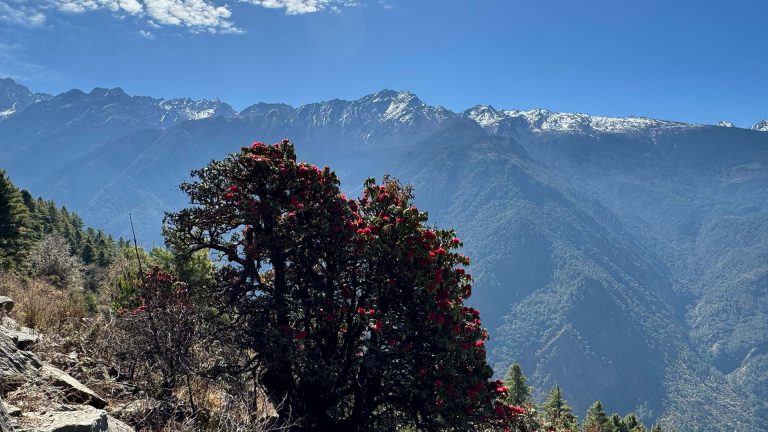 Langtang Trek with Helicopter Return – 7 Days